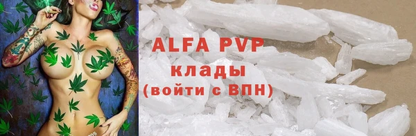 прущие грибы Арсеньев