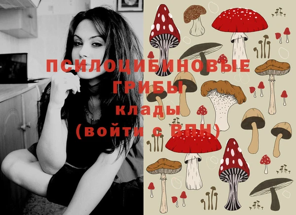 мет Аркадак