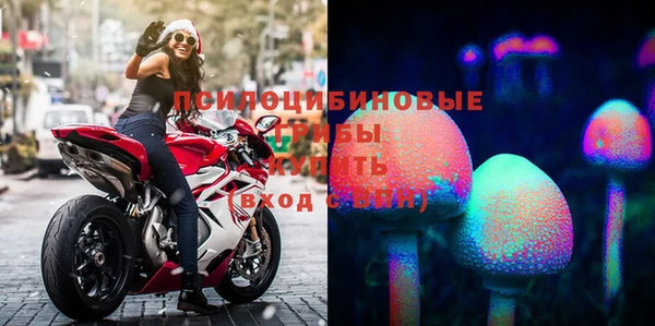 прущие грибы Арсеньев