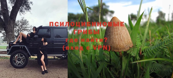 мет Аркадак