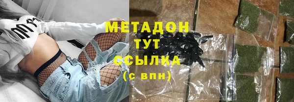 прущие грибы Арсеньев
