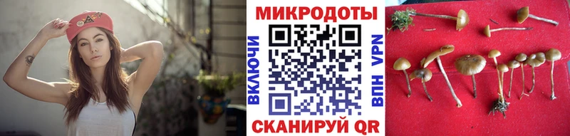 ОМГ ОМГ зеркало  нарко площадка как зайти  Галлюциногенные грибы ЛСД  Краснослободск 